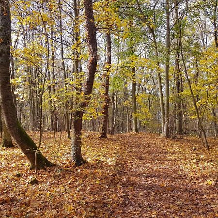 Gemuetliche Ferienwohnung Am Ortsrand Kreuzwertheim Exteriér fotografie