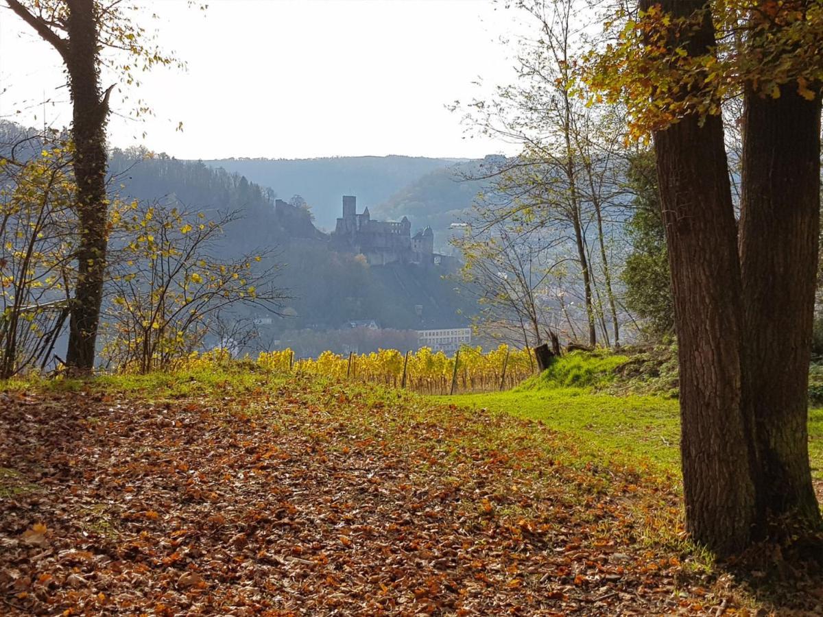Gemuetliche Ferienwohnung Am Ortsrand Kreuzwertheim Exteriér fotografie