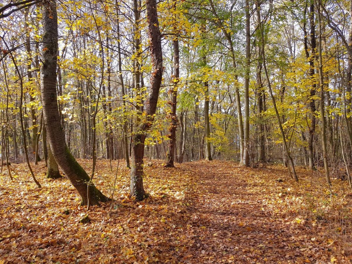 Gemuetliche Ferienwohnung Am Ortsrand Kreuzwertheim Exteriér fotografie