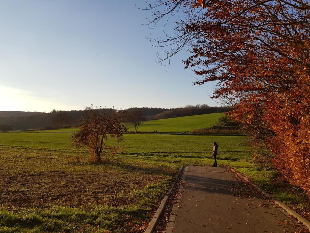 Gemuetliche Ferienwohnung Am Ortsrand Kreuzwertheim Exteriér fotografie